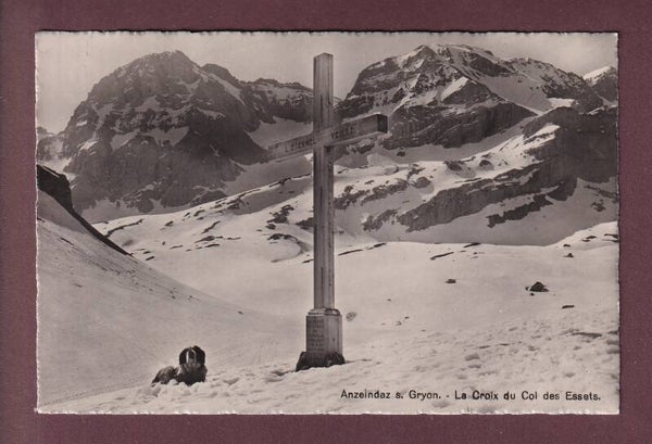 ANZEINDAZ - La Croix et le Col des Essets - Chien - 1946