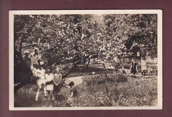 LAUSANNE - Ecole Vinet - Enfants dans le jardin - 1942