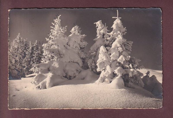SCHNEETANNEN - E. Gyger - 1929