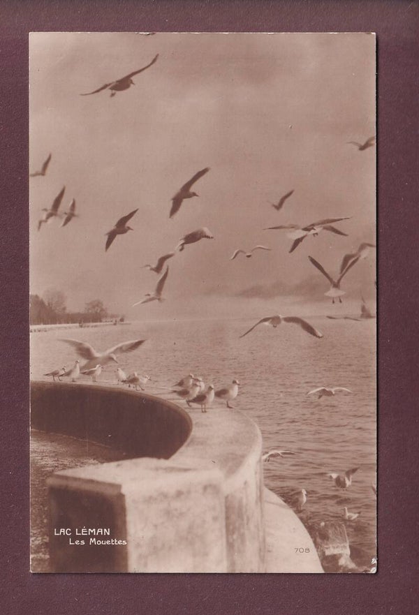 LAC LEMAN - Les Mouettes