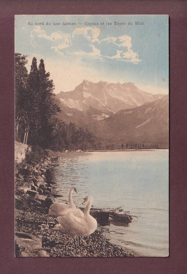 LAC LEMAN - Cygnes et Dents du Midi - 1914 // déchirure //