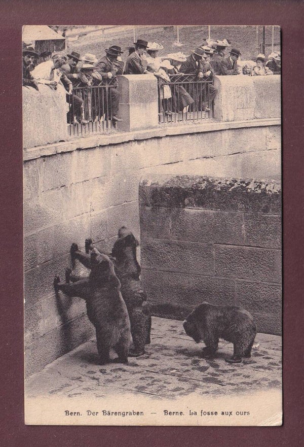 BERN - Bärengraben - Leute - 1911
