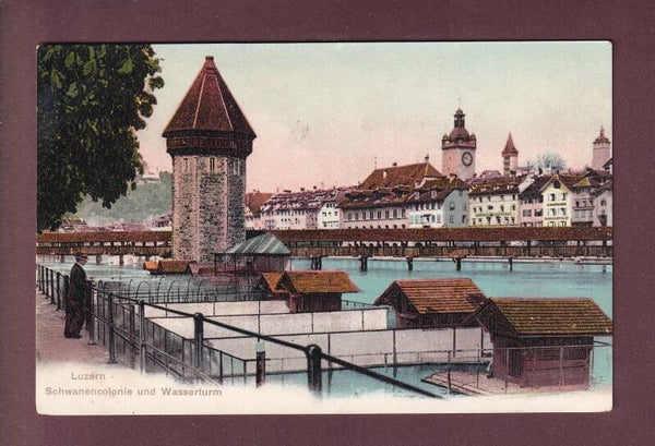 LUZERN - Schwanencolonie - Wasserturm