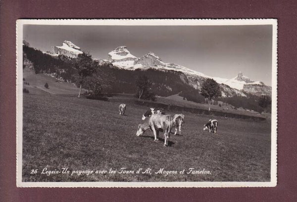 LEYSIN - Vaches - Tour d'Aï et Mayens