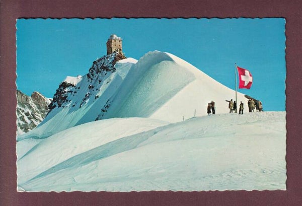 JUNGFRAUJOCH - Rottalhorn - Polarhunde