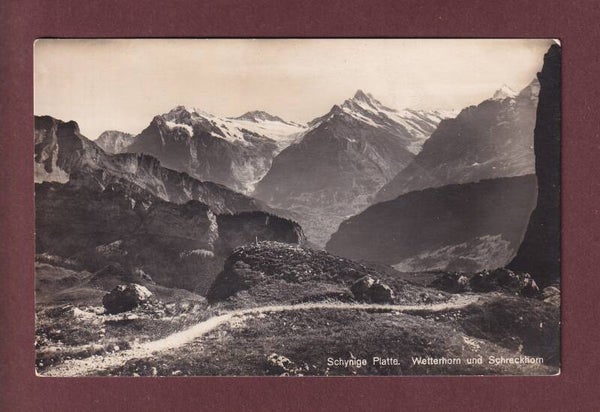 SCHYNIGE PLATTE - Wetterhorn - Schreckhorn