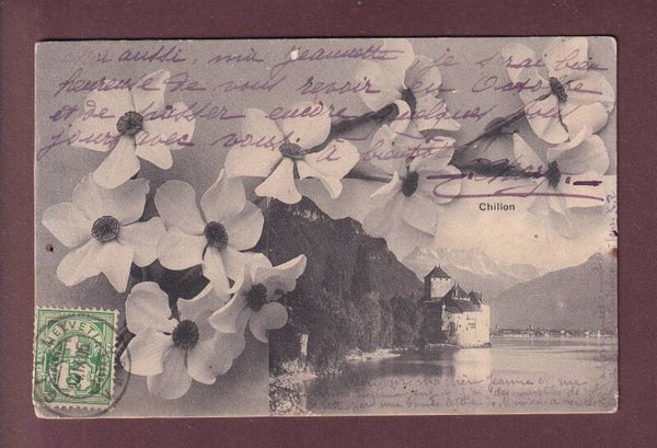 Château de CHILLON - Narcisses - 1905