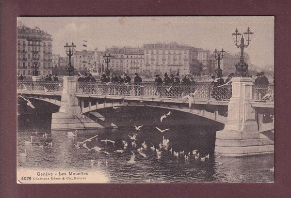 GENEVE - Les Mouettes - 1919
