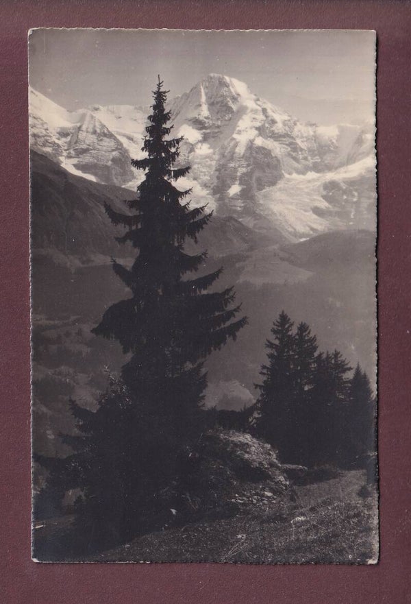 GRÜTSCH bei Mürren - Mönch - 1925 E. Gyger