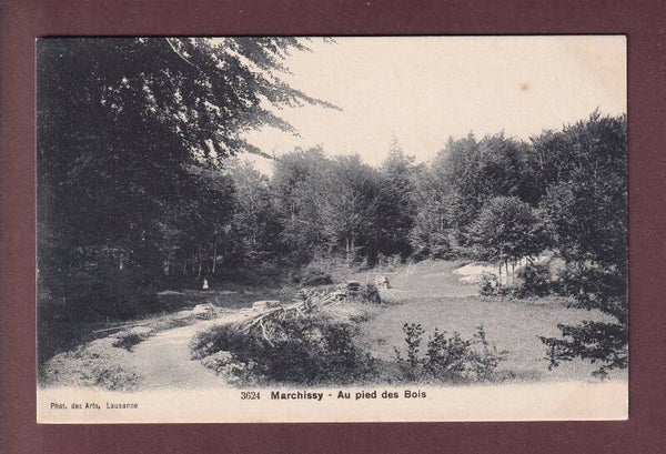 MARCHISSY - Au pied des Bois