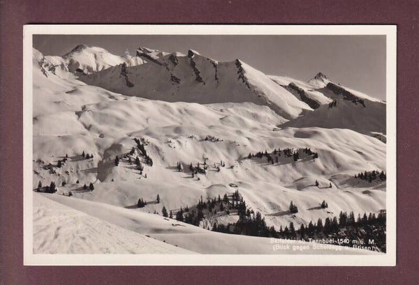 Skifelder ob TANNBÜEL