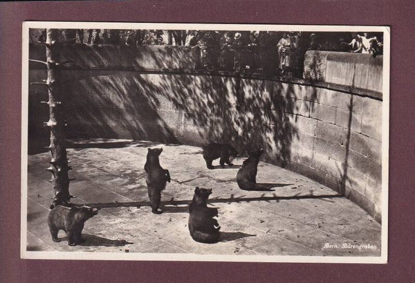 BERN - Bärengraben - 1938
