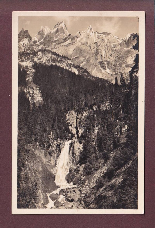 ROSENLAUI - Engelhörner