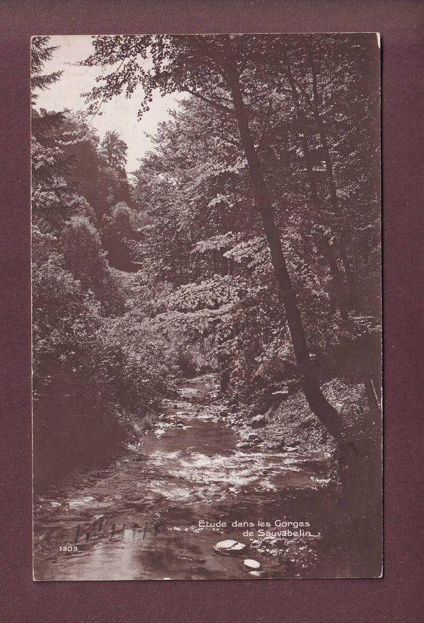 Lausanne - Gorges de SAUVABELIN - 1913