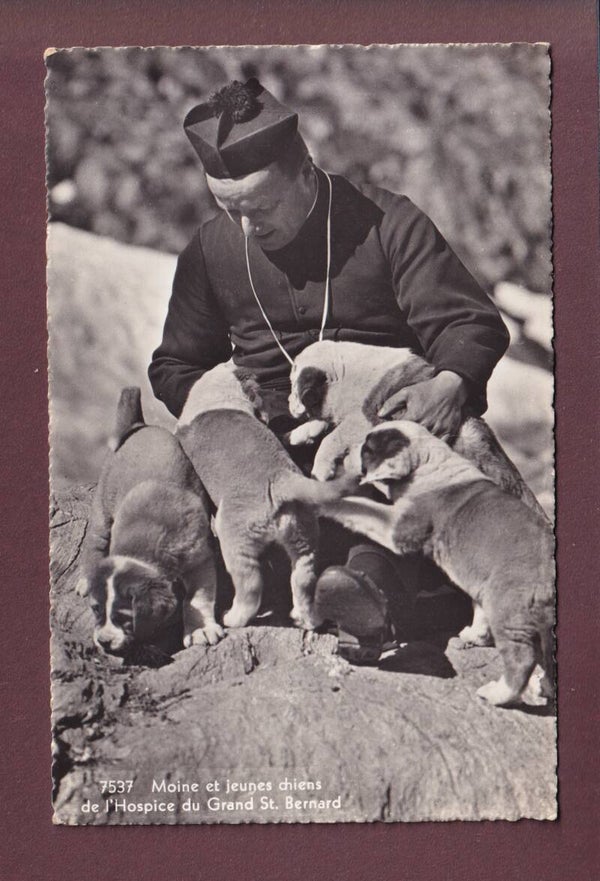 GRAND-SAINT-BERNARD - Maître et chiens // pli //