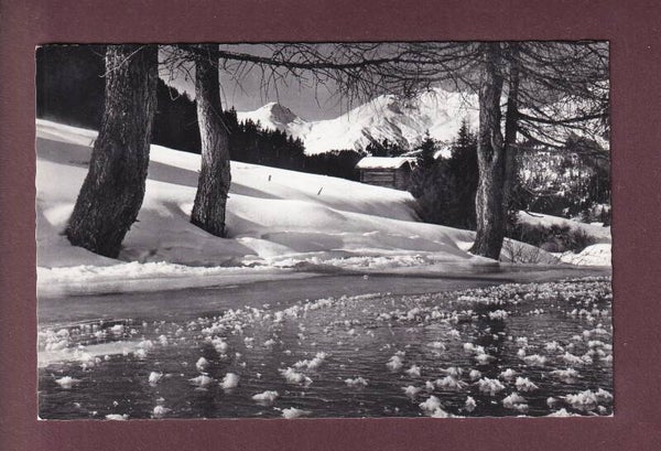 DAVOS - Eisblumen auf dem Dischmabach