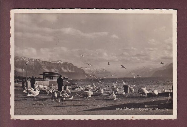 VEVEY - Cygnes et mouettes - 1940