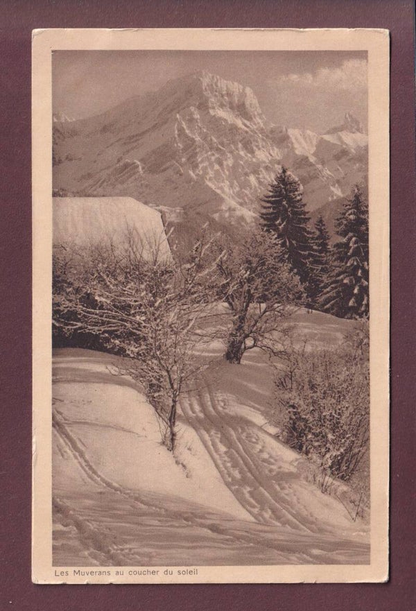 LES MUVERANS au coucher du soleil