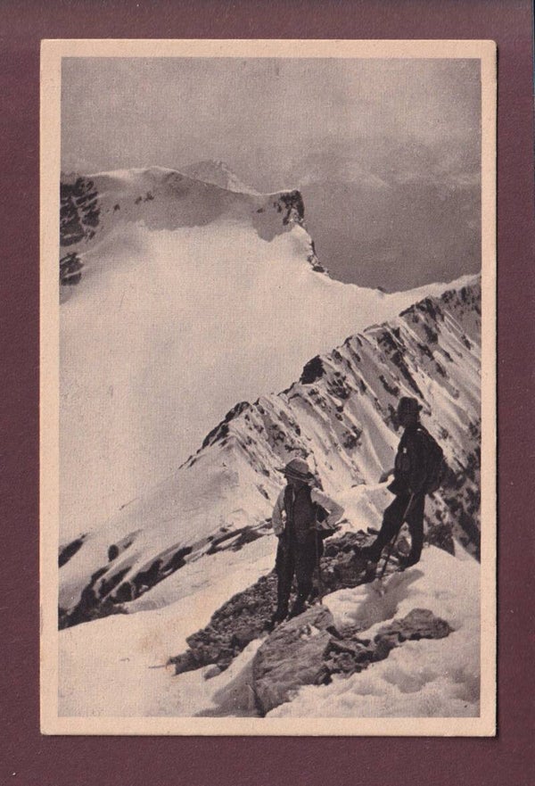 Über dem Ferner - ALPINISTEN