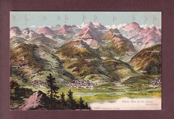 AIGLE et environs - Vol d'oiseau