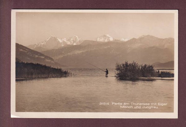 Partie am THUNERSEE - Fiescher