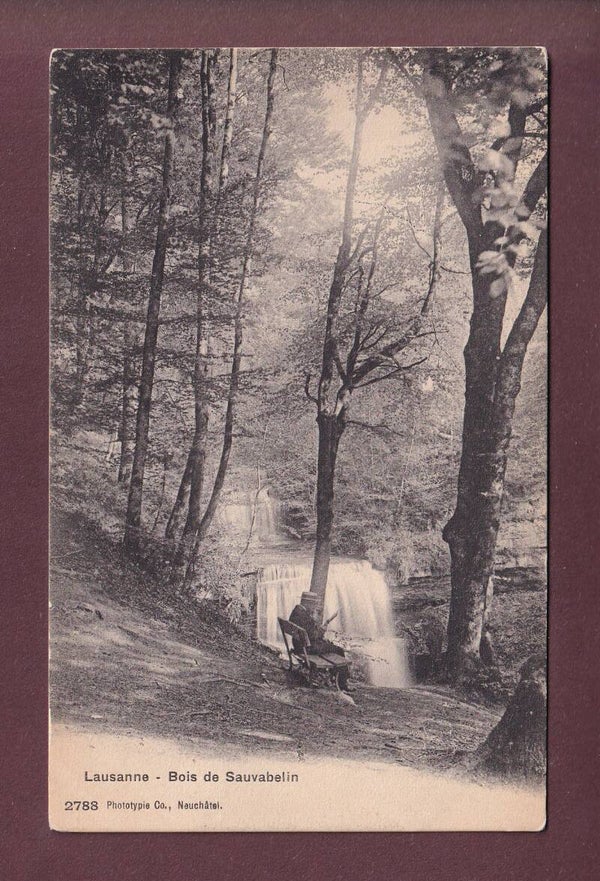 LAUSANNE - Bois de Sauvabelin
