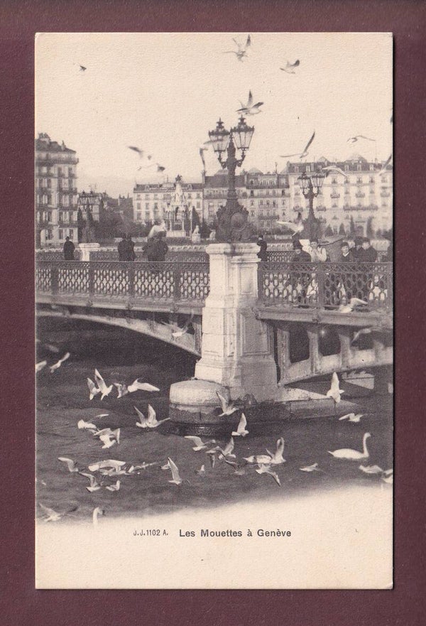 GENEVE - Les Mouettes