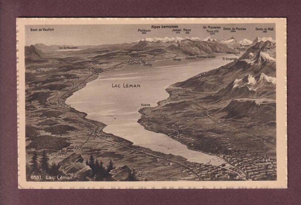 LAC LEMAN et environs - Vol d'oiseau