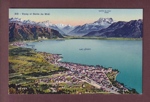 VEVEY et environs - Vol d'oiseau