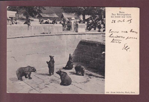 BERN - Bärengraben - 1905