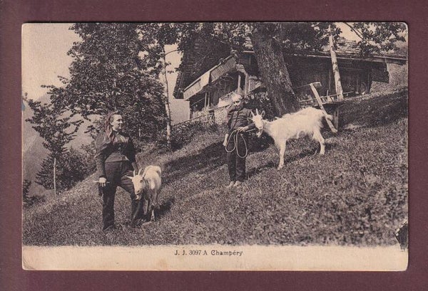 Paysannes de CHAMPERY - Chèvres - 1916