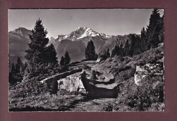 RIEDERALP - Casselweg - 1962