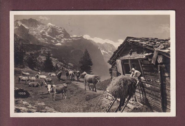 ALPWIRTSCHAFT - 1930