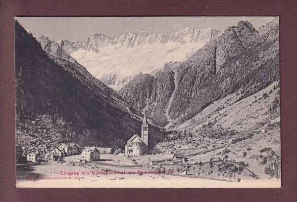 Eingang ins GÖSCHENENTAL - Dammagletscher