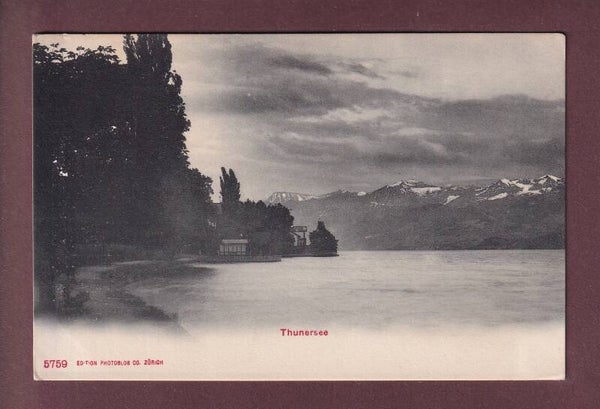 Am THUNERSEE