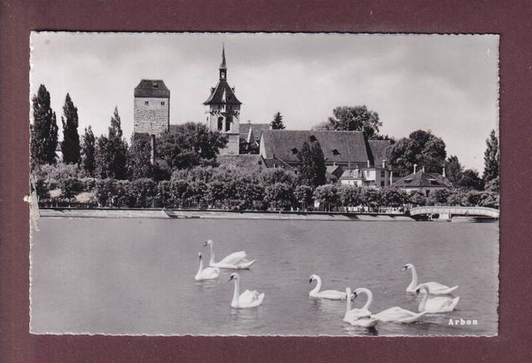 ARBON - Schwanen - 1952