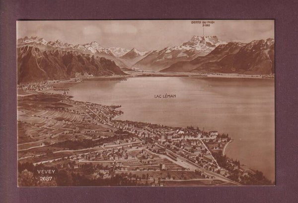 VEVEY et environs - Vol d'oiseau