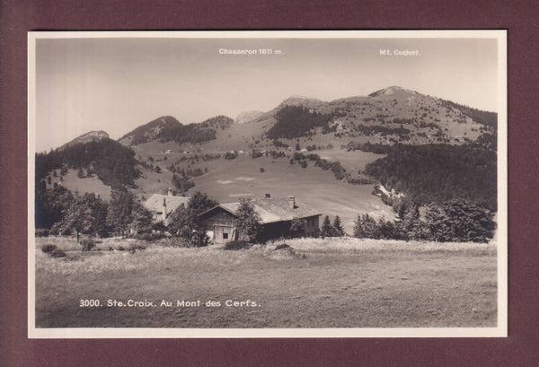 SAINTE-CROIX - Au Mont des Cerfs - Mont Cochet
