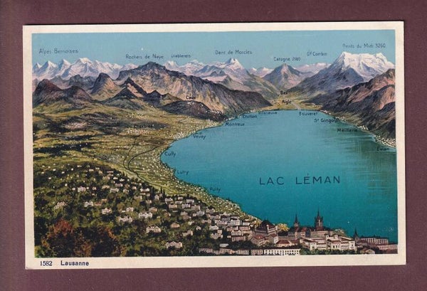 LAUSANNE et Environs - Vol d'oiseau