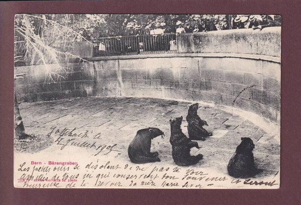 BERN - Bärengraben - 1905