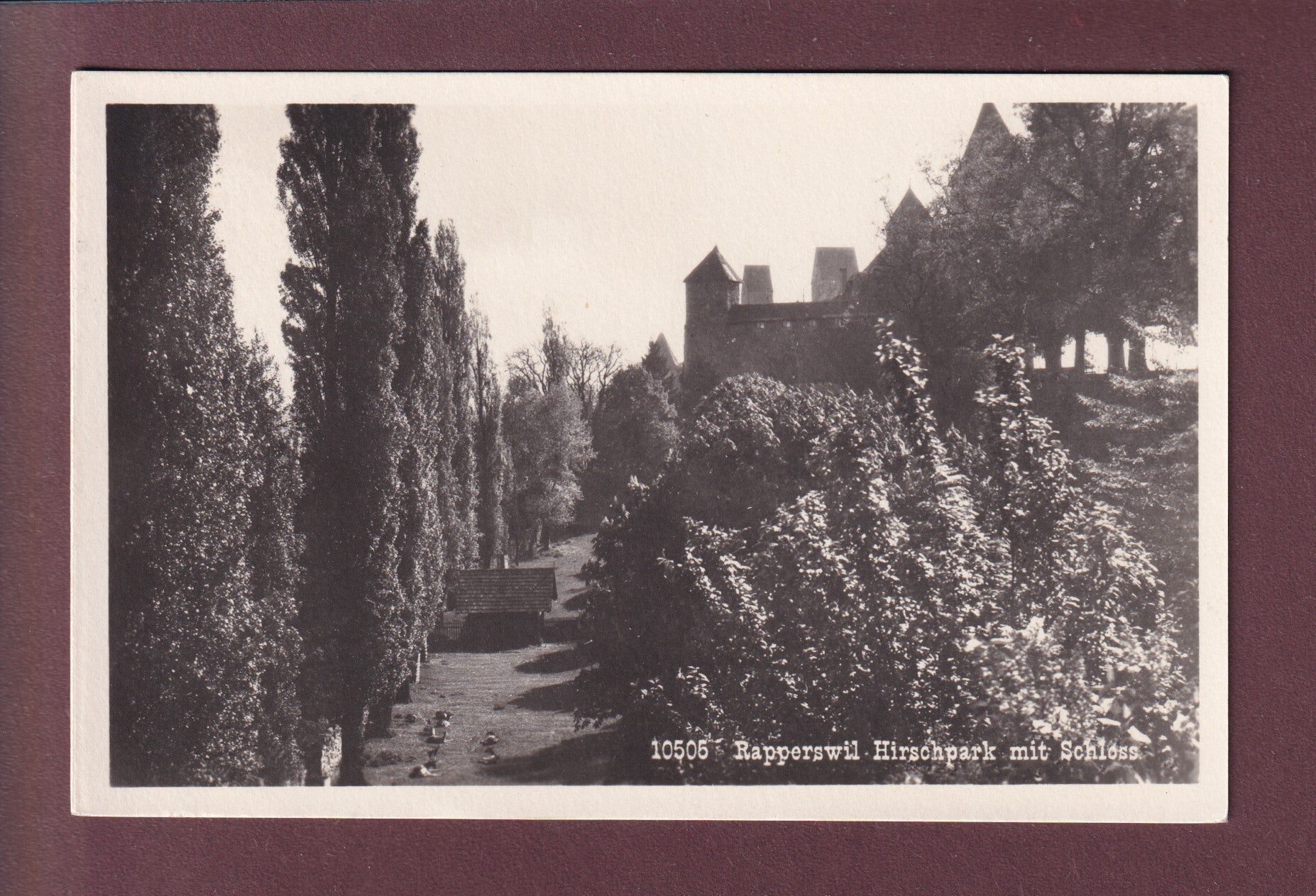 RAPPERSWIL - Hirschpark - Schloss - 1937