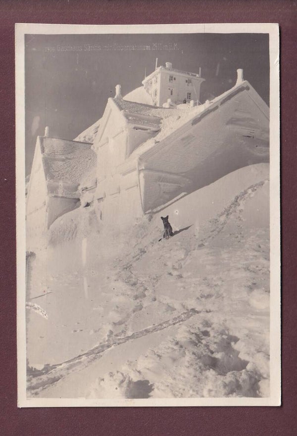 Gasthaus SÄNTIS - Observatorium - Hund - 1929