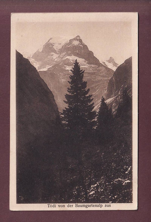 TÖDI von der Baumgartenalp aus - 1923 Hütte Stempel