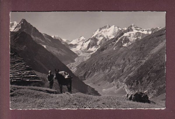 ZINAL - Alpe de Lirec