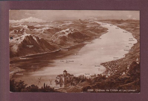 LAC LEMAN et environs - Vol d'oiseau