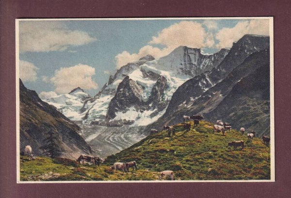 ZINAL - Alpe d'Arpitteta