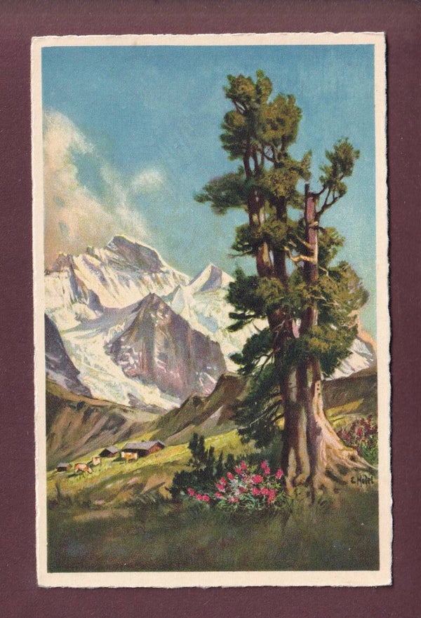 KLEINE SCHEIDEGG - Jungfrau