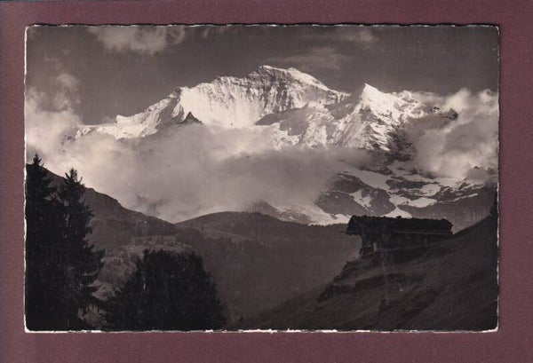 JUNGFRAU - Abendlicht - 1947