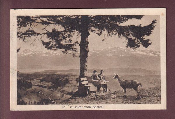 Aussicht vom BACHTEL-KULM - Kinder - Ziege - 1925