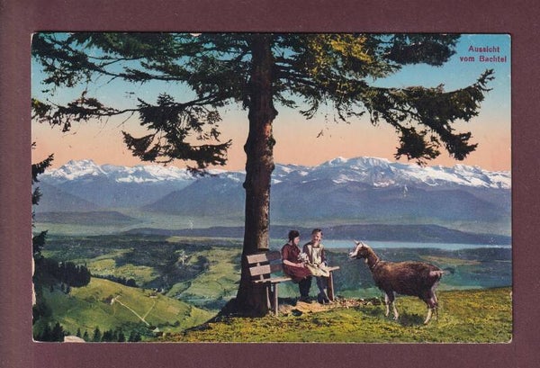 Aussicht vom BACHTEL-KULM - Kinder - Ziege - 1921